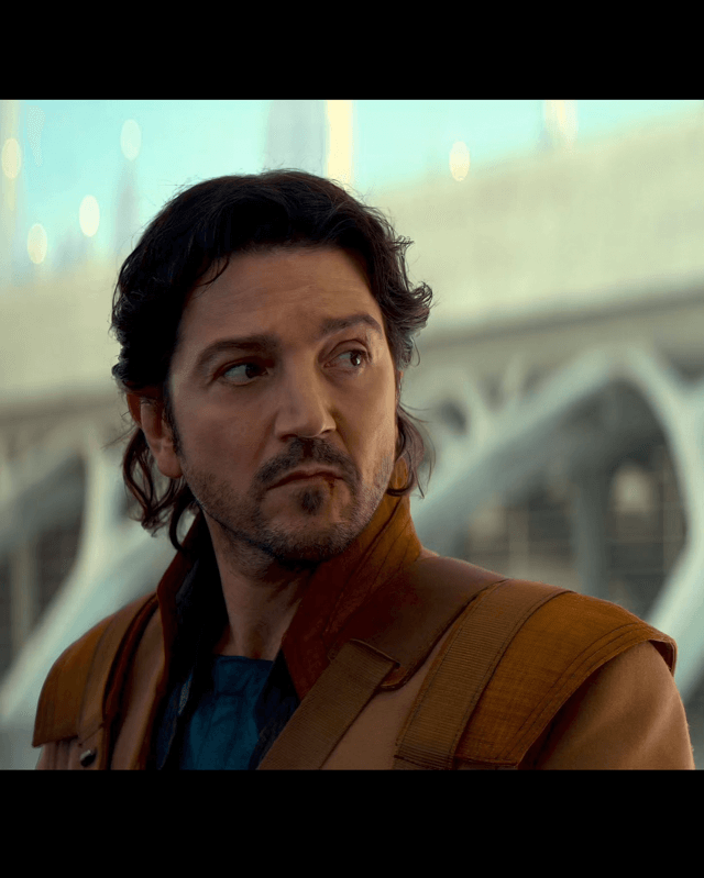 Cassian Andor Brown Coat