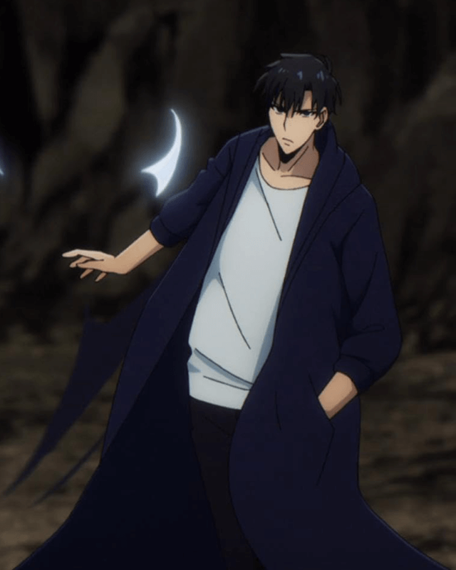 Solo Leveling Sung Jin Woo Blue Hooded Coat