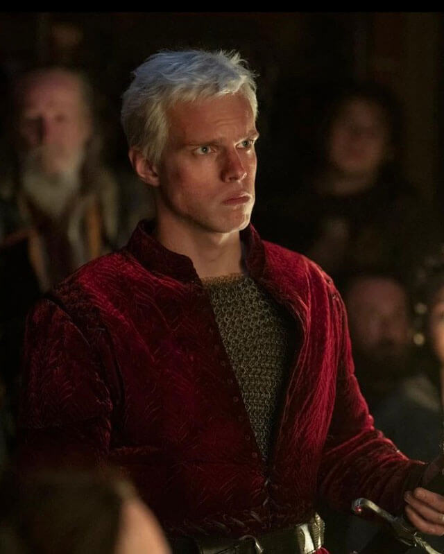 Aerion Targaryen A Knight Of The Seven Kingdoms Maroon Jacket