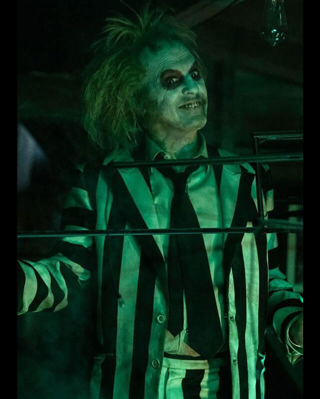 Beetlejuice Halloween Beetlejuice Child Costume Wig| Blossom Costumes