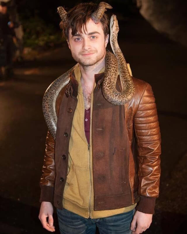 Daniel Radcliffe Horns Brown Leather Jacket