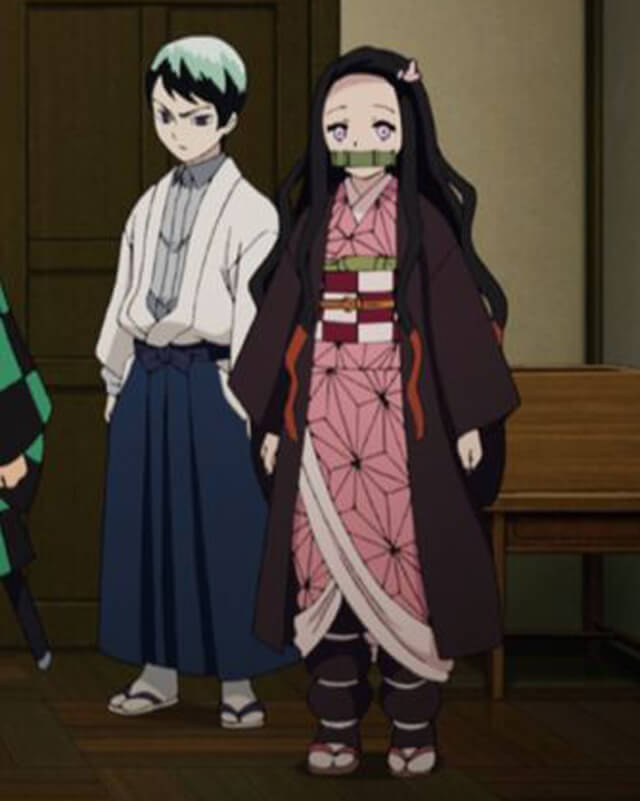 Demon Slayer Nezuko Kamado Cape