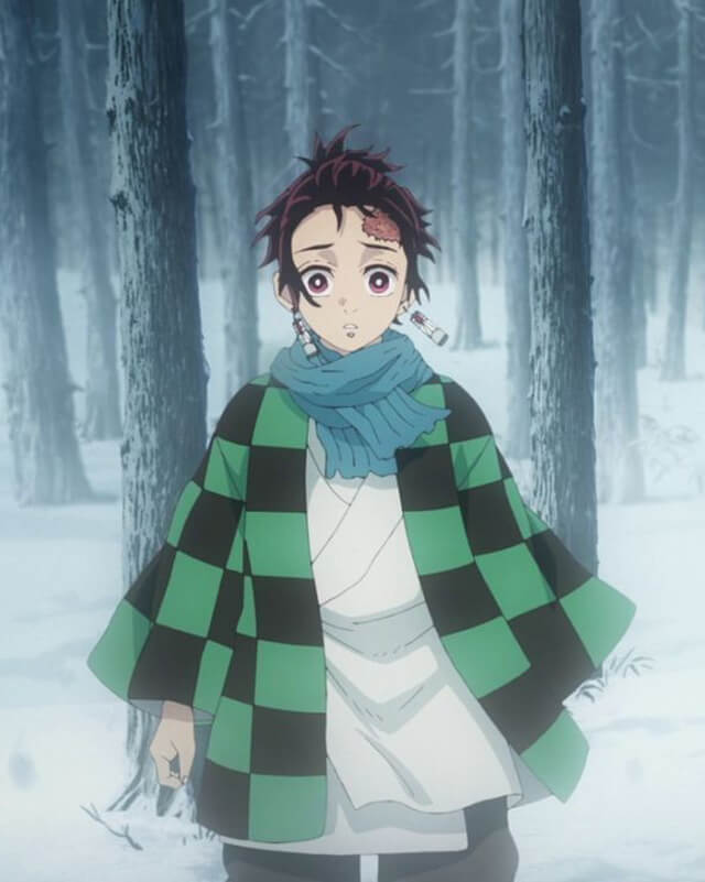 Demon Slayer Tanjiro Cosplay Coat