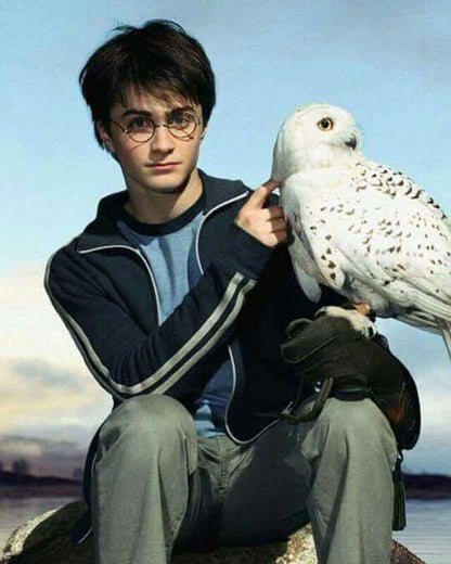 Harry Potter And The Prisoner Of Azkaban Jacket