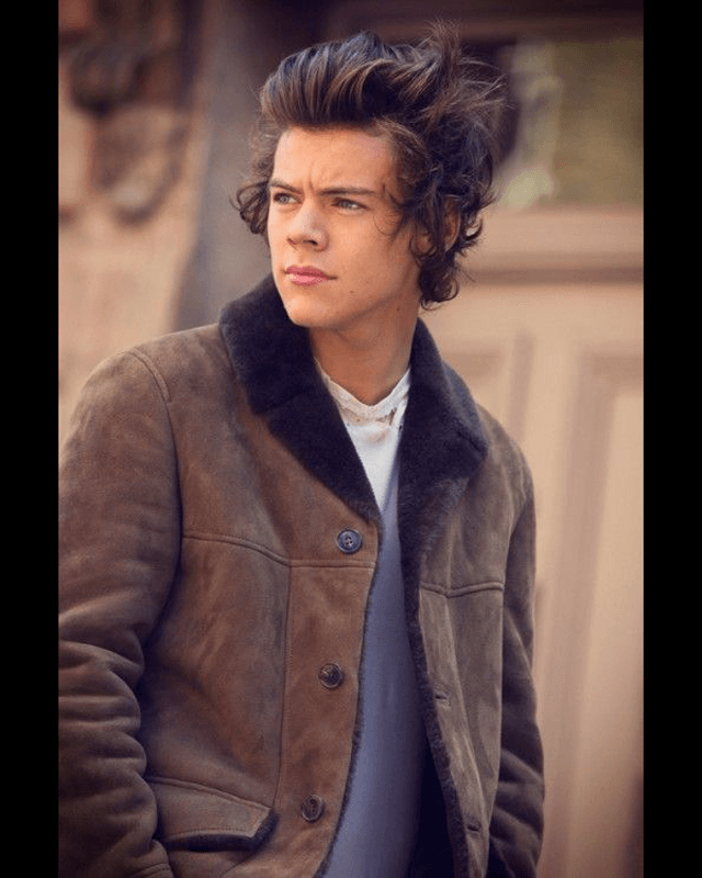 Brown Shearling Coat Harry Styles Brown Jacket Harry Styles Fur