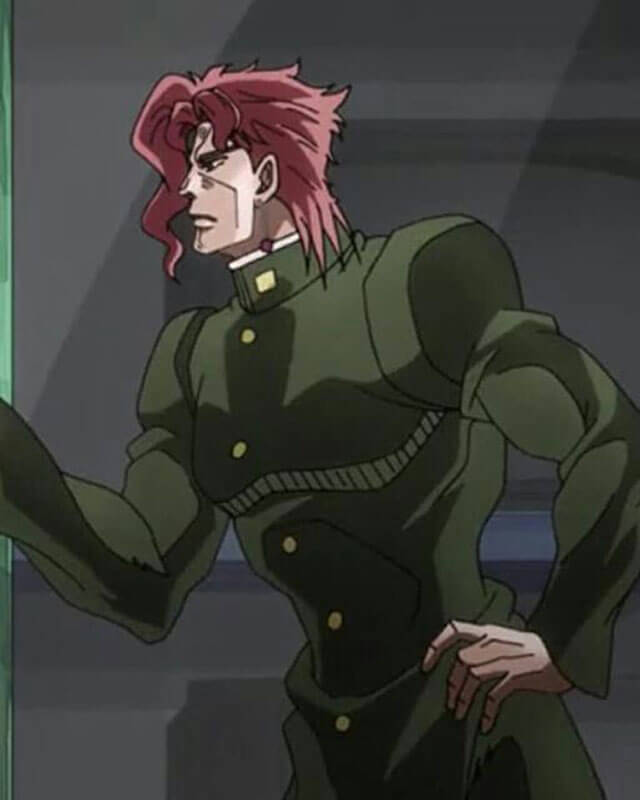 JoJo's Bizarre Adventure Noriaki Kakyoin Cotton Coat