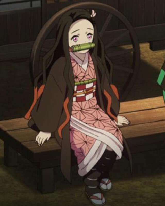 Kimetsu No Yaiba Nezuko Black Haori Cape