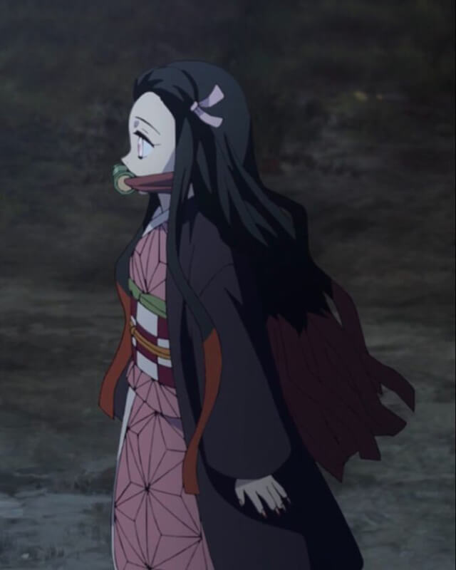 Kimetsu No Yaiba Nezuko Kamado Haori Cape