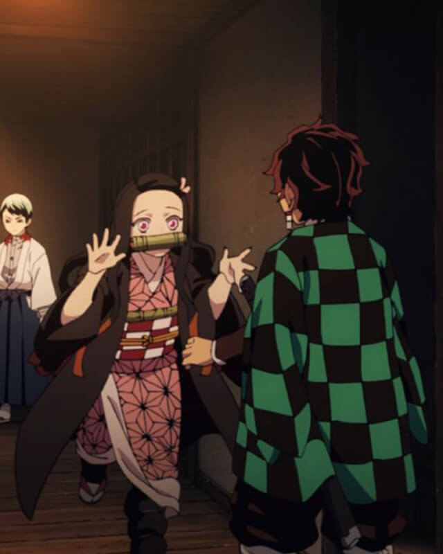 Kimetsu No Yaiba Tanjiro Kamado Checkered Haori