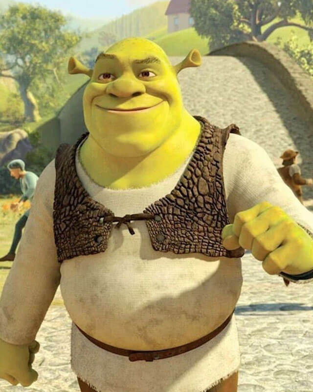 Shrek Cosplay Brown Vest